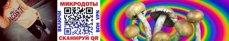 закладка  Черепаново  Галлюциногенные грибы GOLDEN TEACHER 